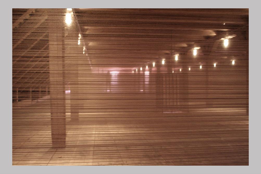 Ann Hamilton, Wanås